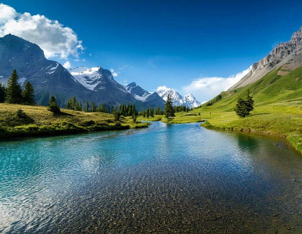 Comment organiser une visite des sites historiques de Kyoto, Japon?